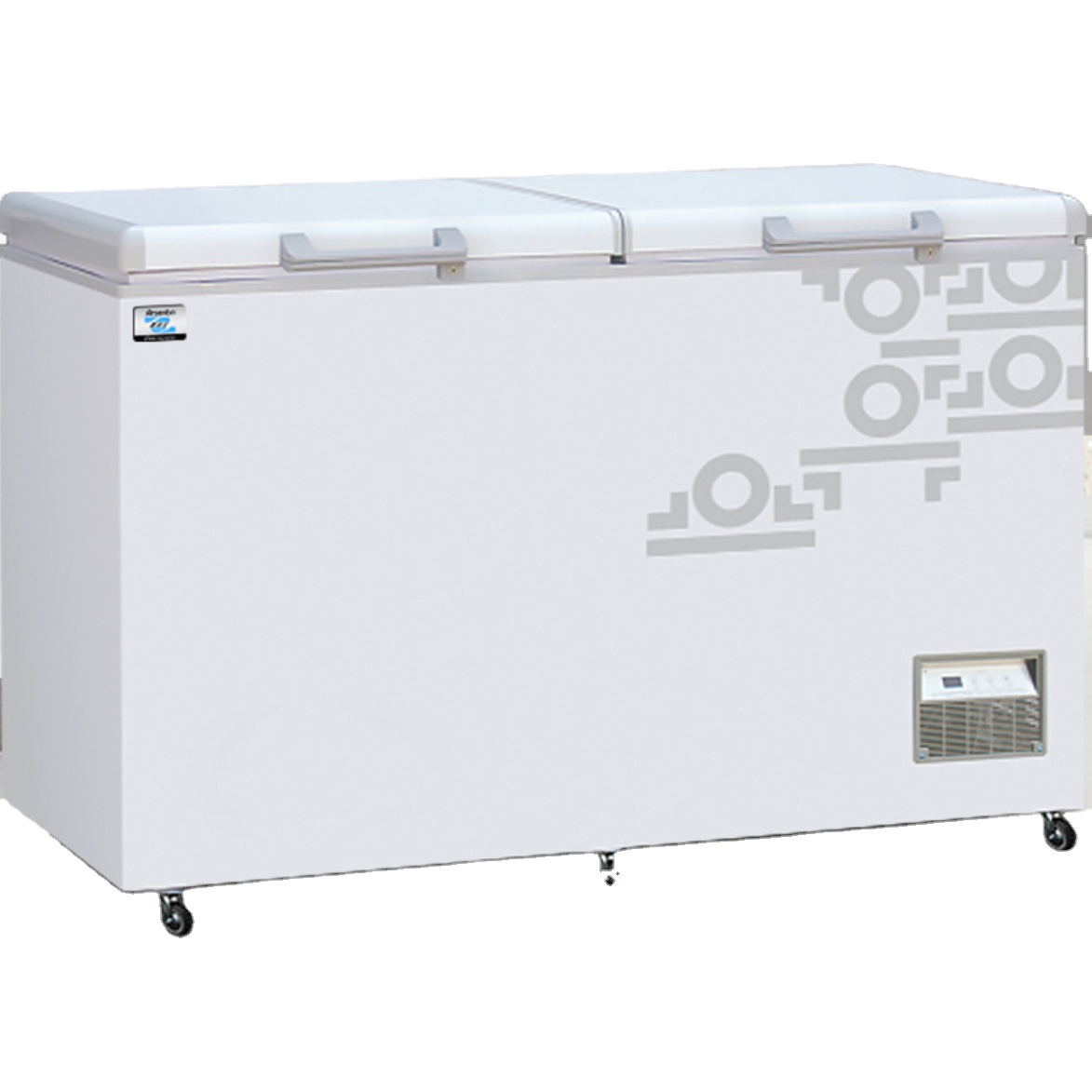Commercial Chest Freezer - ホテルレストラン厨房機器業務用ステンレス製電気式チェストフリーザー