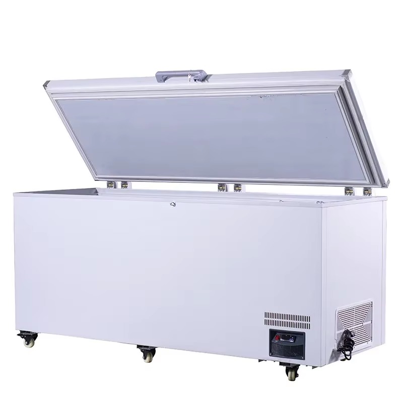 業務用大型横型冷凍庫、鮮度保持用肉・魚冷凍庫、スーパーマーケ - Commercial Chest Freezer のレビューと価格