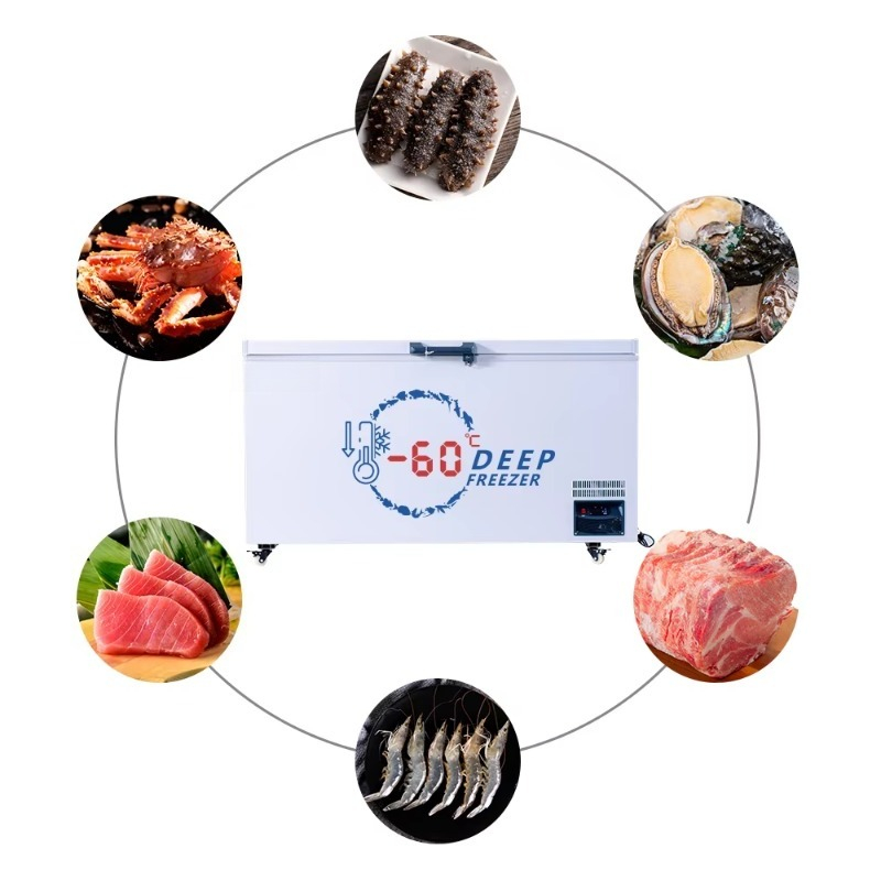 業務用大型横型冷凍庫、鮮度保持用肉・魚冷凍庫、スーパーマーケ - Commercial Chest Freezer のレビューと価格
