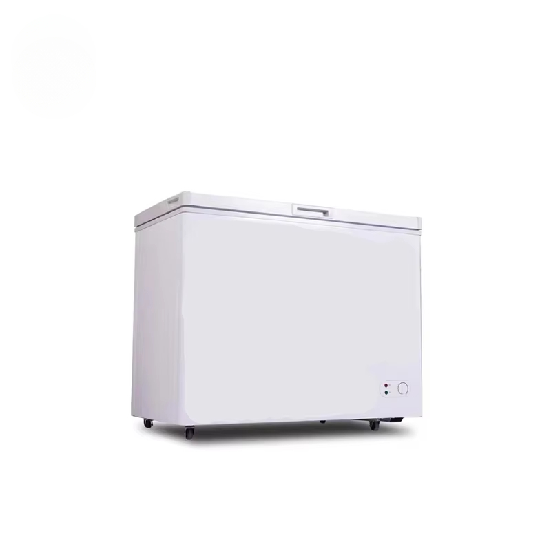 100 〜 300 リットル小容量商業横型冷凍庫急速冷凍チェ - Commercial Chest Freezer のレビューと価格